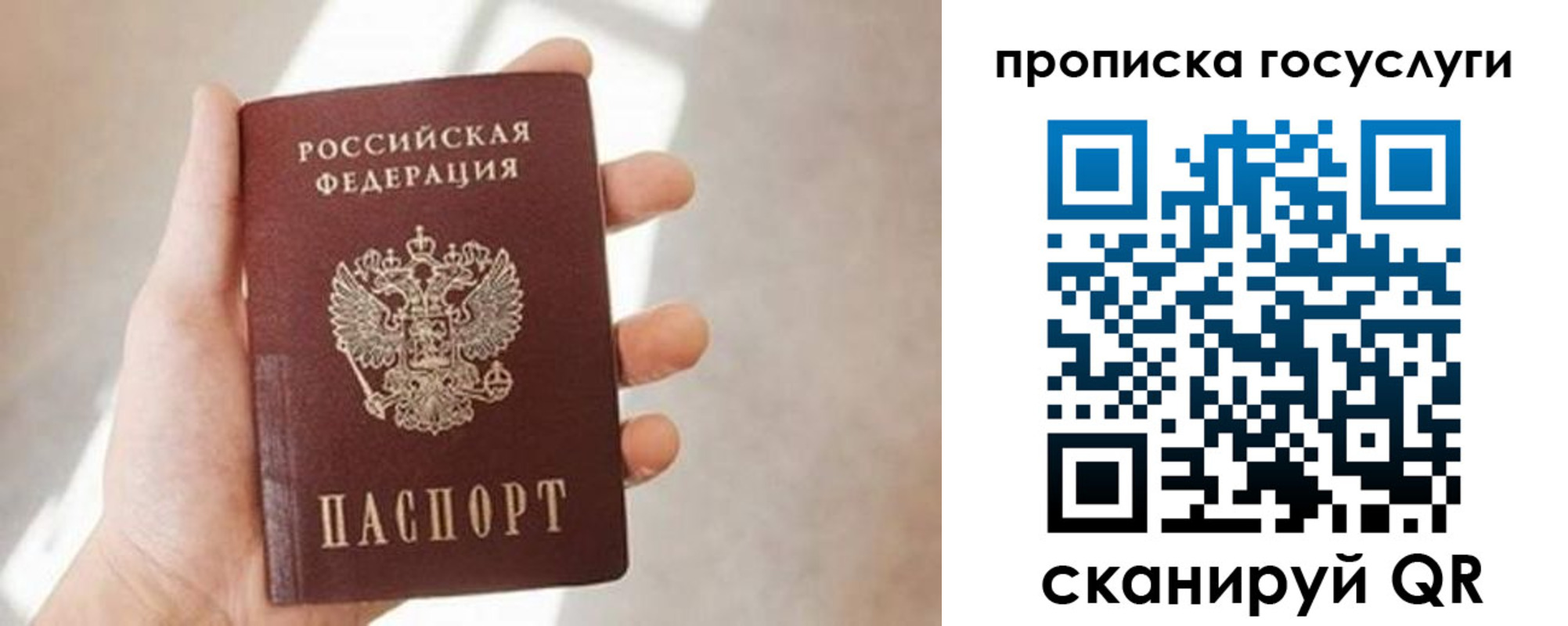 прописка 2025 в Белой Калитве